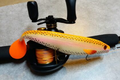 leurre pêche en mer