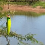 spinnerbait