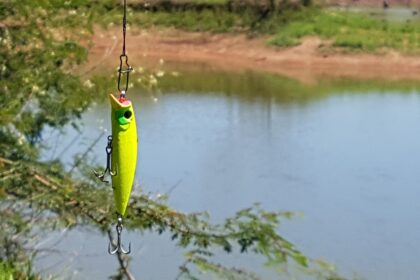 spinnerbait